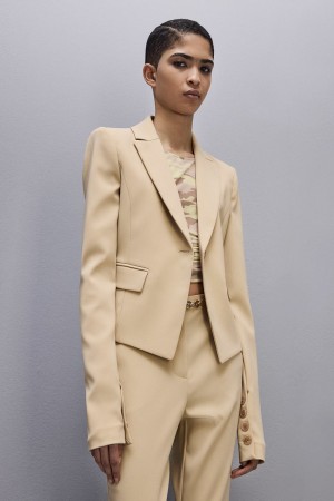 Patrizia Pepe Essential One-button Jacket Béžový | 849201-KAX