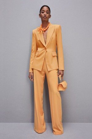 Patrizia Pepe One-button Jacket In Sablè Crepe Fabric Oranžové | 792854-ERN